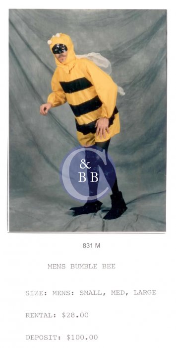MENS BUMBLE BEE - Click Image to Close