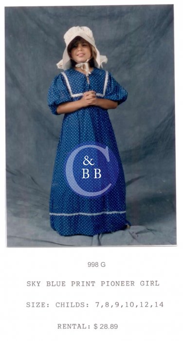 PIONEER GIRL - SKY BLUE PRINT DRESS - Click Image to Close