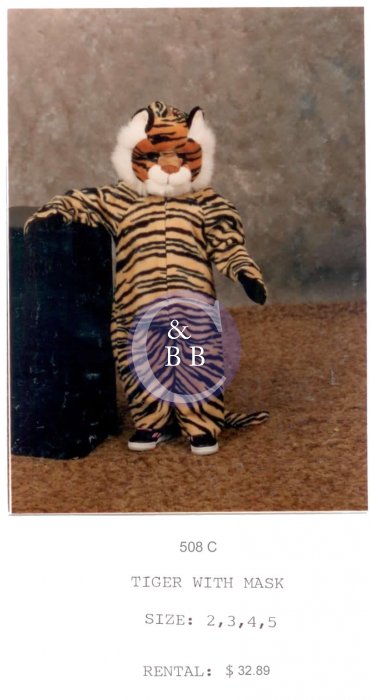 TIGER WITH MASK - Click Image to Close