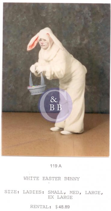 EASTER BUNNY - WHITE - Click Image to Close